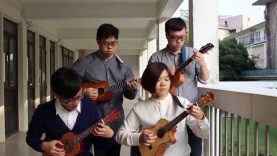 Hotel California Ukulele Cover