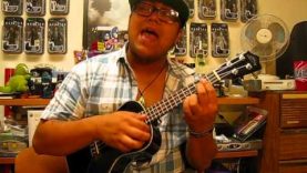 Someone Like You Adele -ukulele cover