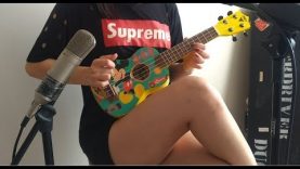 Sweet Child O Mine  Ukulele cover