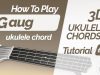 Gaug ukulele chord